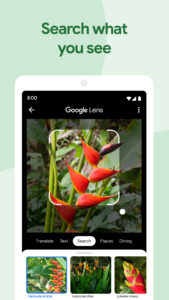 Google Photos 7.28.0.757836303