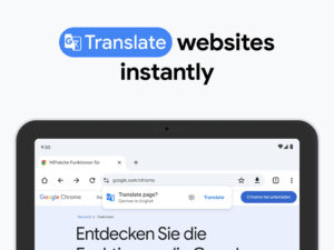 Google Chrome 136.0.7103.61