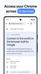 Google Chrome 136.0.7103.61