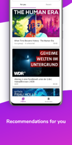 Translate subtitles for videos 4.2.0